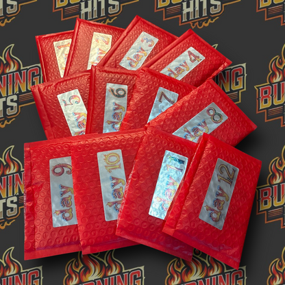 2025 Burning Hits Hockey Pack Advent Calendar | 12-Day Hobby Pack Experience